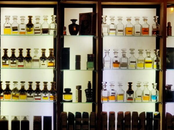 Aesthetic arrangement of diverse perfume bottles on illuminated shelves showcasing luxury fragrances.